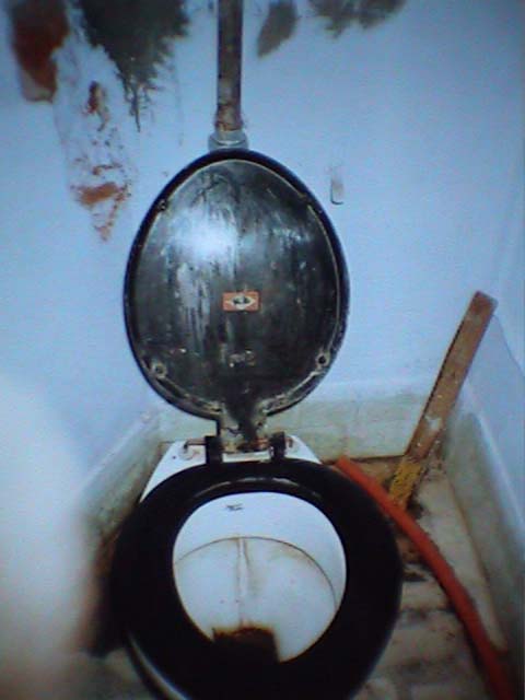 pushkar03