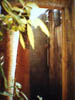 gokarna01