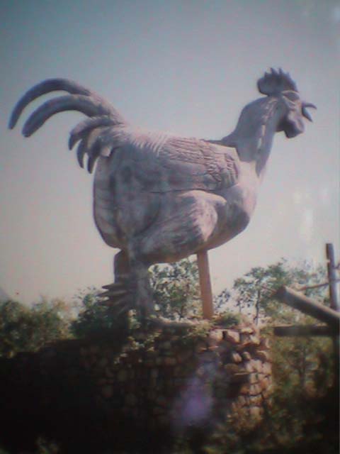 17dalat