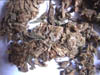 07thaiherb