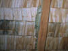 25malaylizzard