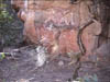 14spiderweb