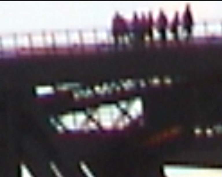 31sydney