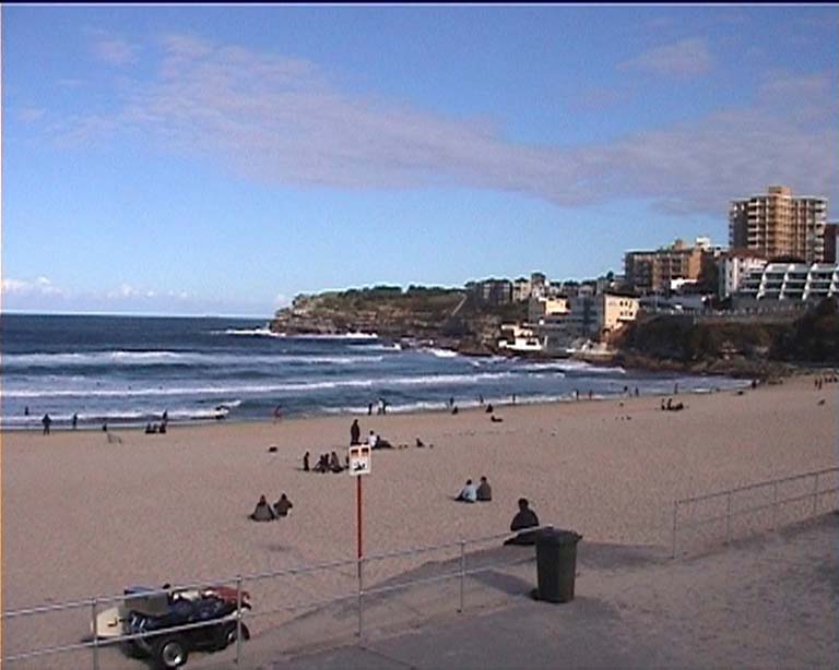 40bondi