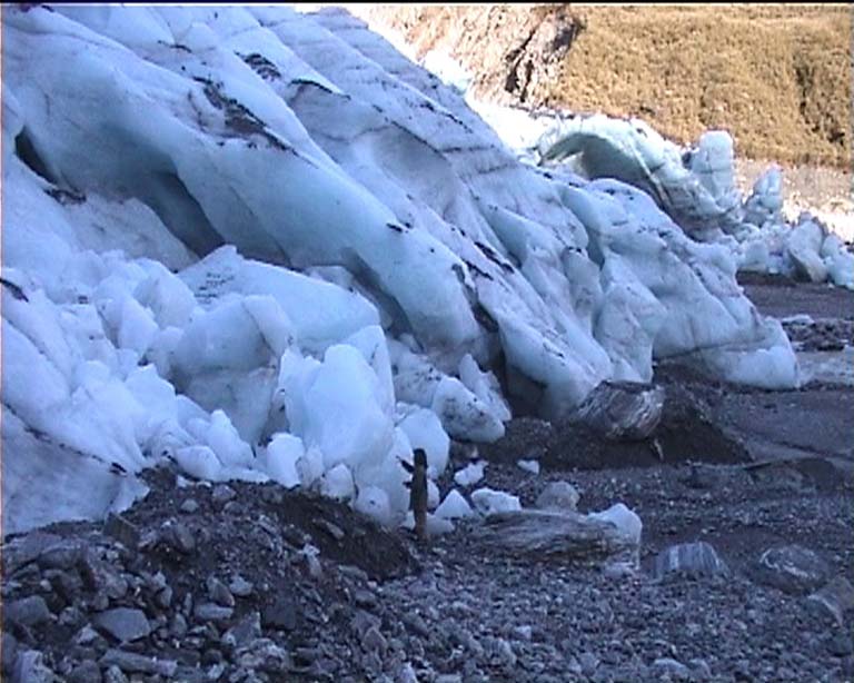 10foxglacier