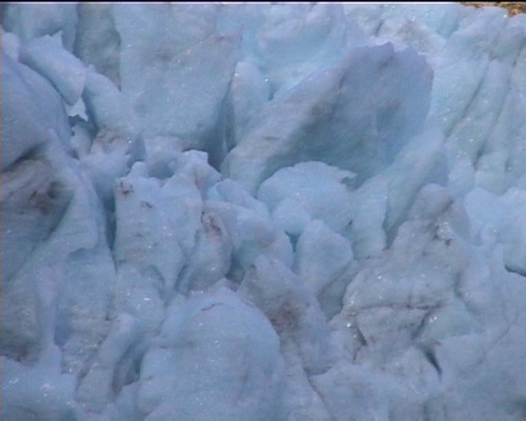 11foxglacier