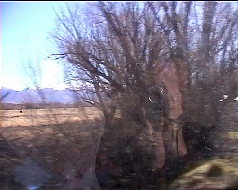 39badreflection