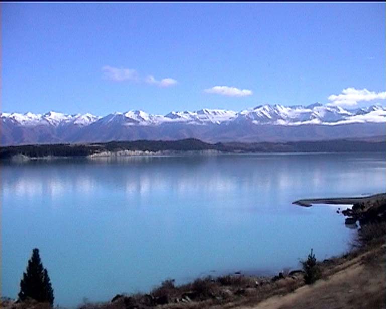 40mtcook