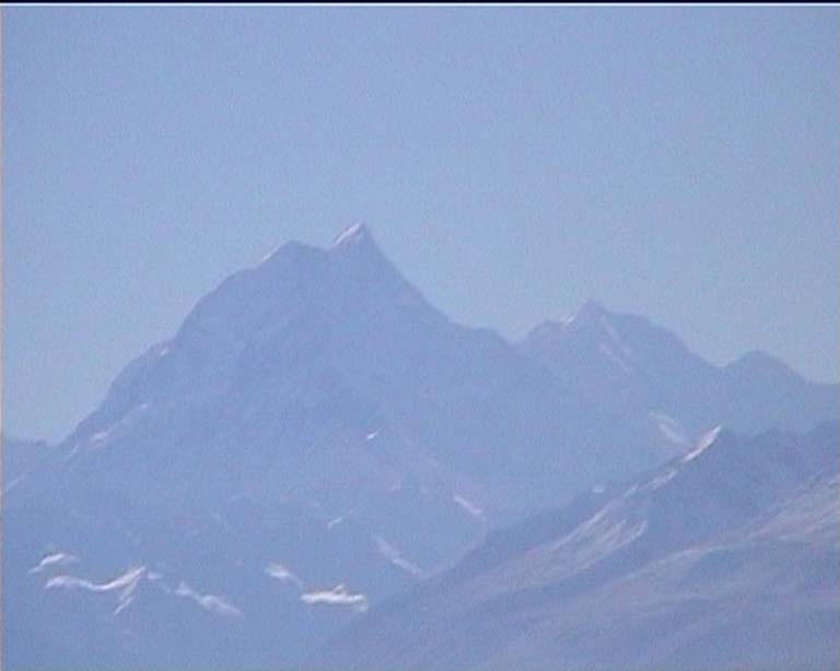 41mtcook