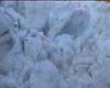 11foxglacier
