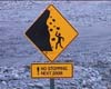 15foxglacier