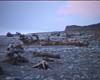 27foxbeach